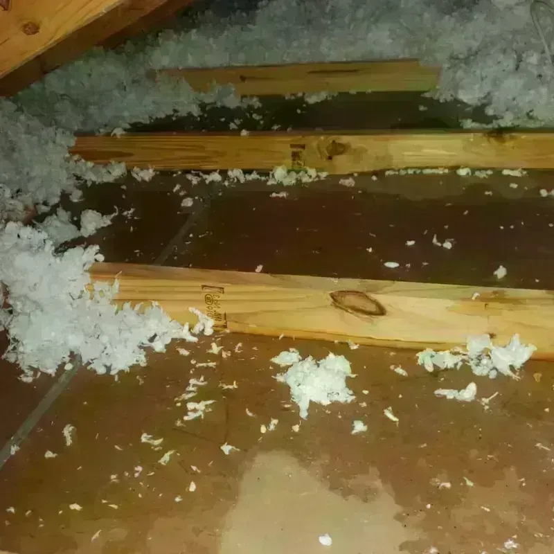 Attic Water Damage in Tompkins County, NY